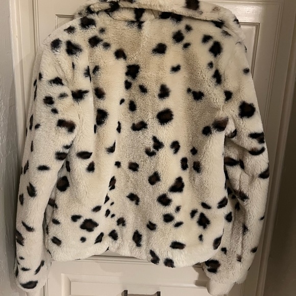 Jacket - Picture 2 of 3